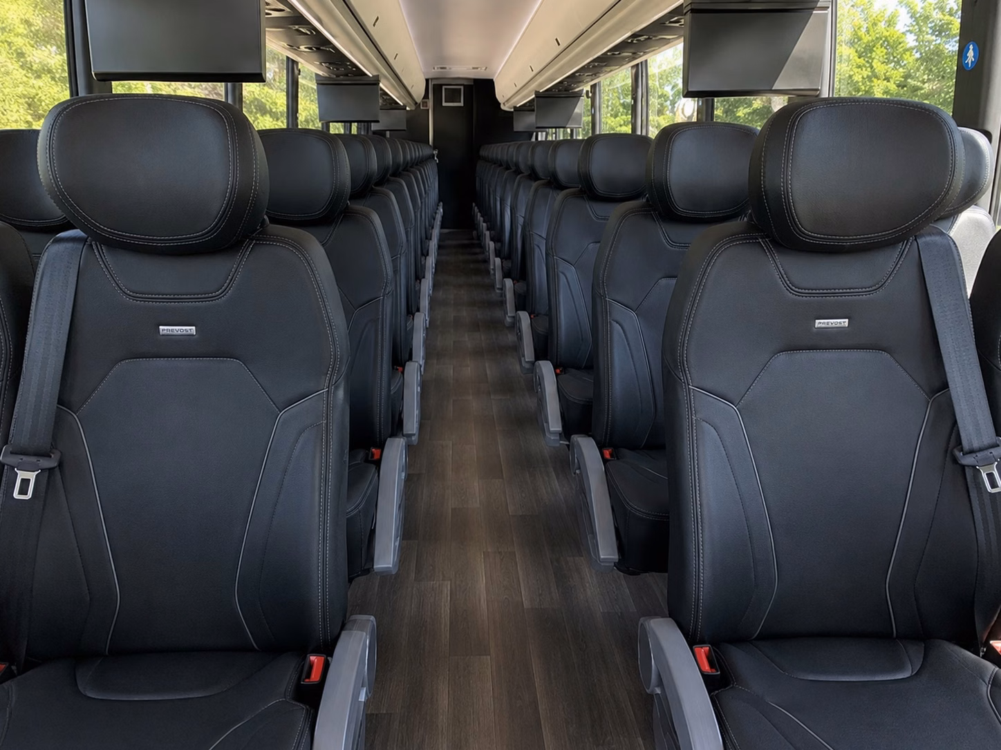savannah bananas fan transportation to grayson stadium