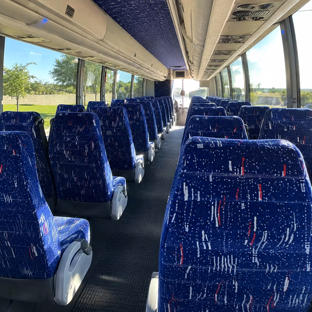 savannah long distance transportation