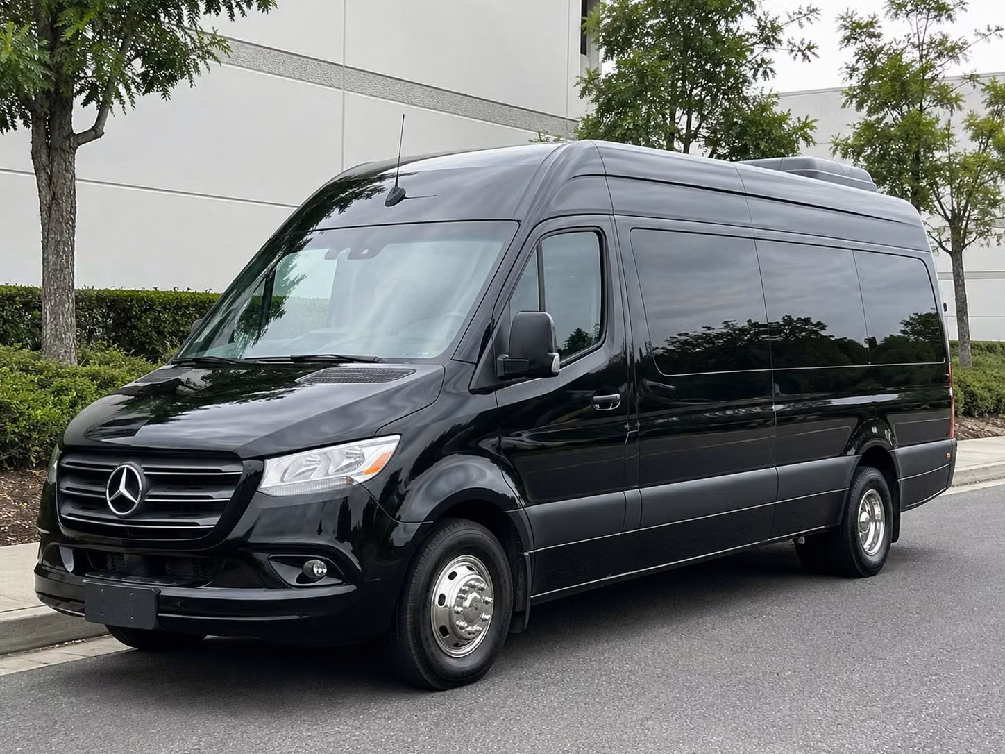 savannah sprinter van rental with driver