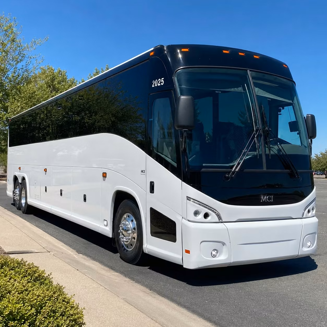 youth group and vacation bible school transportation in savannah